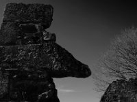 JFN_2019-02_0386. : Vestiges