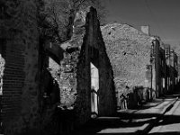 JFN_2019-02_0393. : Vestiges