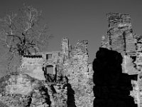 JFN_2019-02_0420. : Vestiges