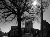 JFN_2019-02_0427. : Vestiges