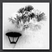 JFN_1102_0069recnbneg