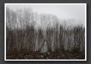 JFN_2011-12_0522_DxO