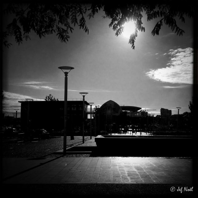 JFN_iPhone 2012_0145