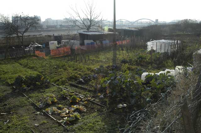 Massy : jardins ouvriers