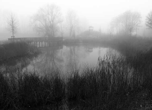 Brouillard matinal