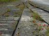 Des coquelicots sur les rails
