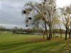Contrejour d'automne