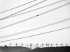 Haute tension