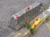 Fleurs de trottoir