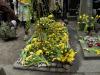 Des fleurs jaunes pour Marek Edelman