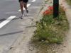 Le jogger et les fleurs sauvages. 