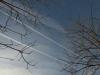 Diagonales