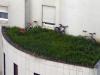 Urban bikes