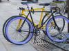 varsovian fixies