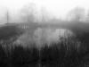 Brouillard matinal
