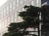 Promiscuité urbaine